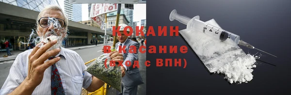 индика Пролетарск