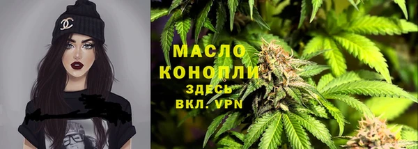 индика Пролетарск
