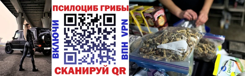 Галлюциногенные грибы мицелий  Купить где  Шарыпово 